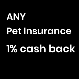 cash back on any insurance